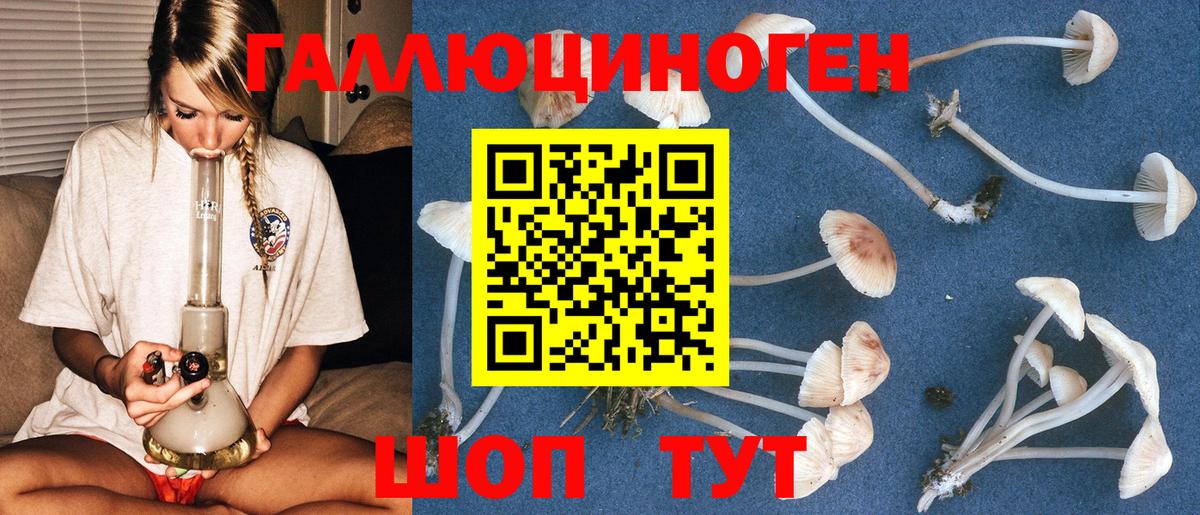 Галлюциногенные грибы Psilocybe Жигулёвск